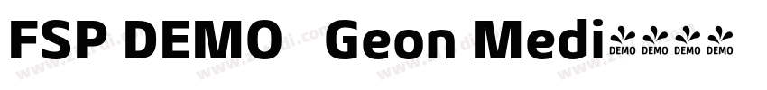 FSP DEMO   Geon Medi字体转换